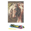 Kit complet canevas 15 x 20 cm motif cheval étalon