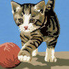 Kit complet canevas 15 x 20 cm motif chaton chat joueur