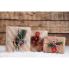 Kit cachet de cire - Noël - Pour cadeau, cartes, invitations - Sceaux + cire + encreur
