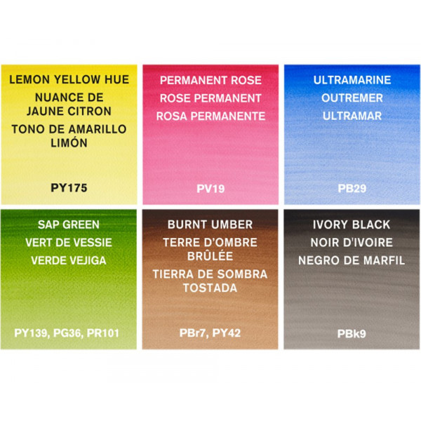 Boîte de 6 tubes de peinture aquarelle Cotman Winsor et Newton 8ml