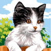 Kit canevas 18 x 14 cm Margot Canevas modèle chat noir et blanc