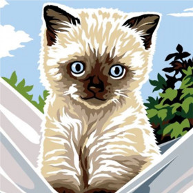 Kit canevas 18 x 14 cm Margot Canevas modèle chaton siamois