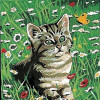 Kit canevas 18 x 14 cm Margot Canevas modèle chat dans le champ
