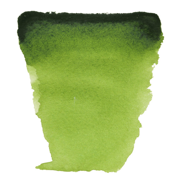Peinture aquarelle - Vert de vessie - 623 - Fine - Godet - Van Gogh