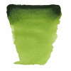 Peinture aquarelle - Vert de vessie - 623 - Fine - Godet - Van Gogh