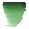 Peinture aquarelle - Vert de Hooker foncé - 645 - Fine - Godet - Van Gogh