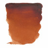 Peinture aquarelle - Terre de Sienne brûlée - 411 - Fine - Godet - Van Gogh
