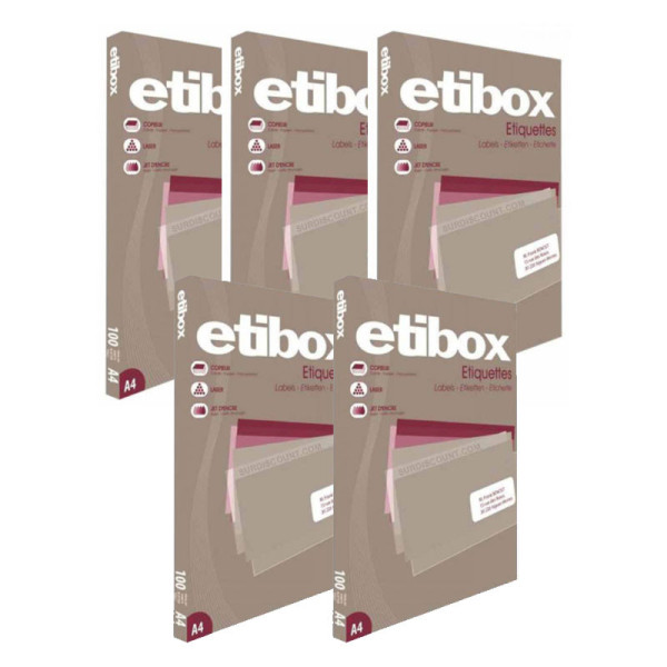 Lot de 5 boîtes 2100 étiquettes n°21 Etibox Apli 119752