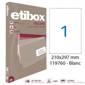 Lot de 10 boites de 100 Étiquettes Etibox Apli 119760