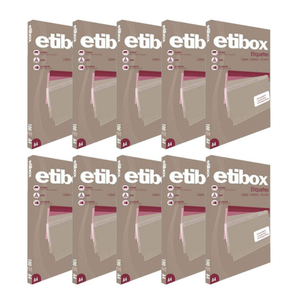 Lot de 10 boites de 2100 Étiquettes Etibox Apli 119761
