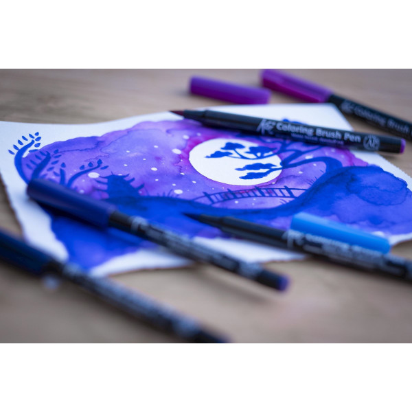 Etui de 6 feutres pinceaux Koi Coloring Brush Pen Galaxy colours Sakura