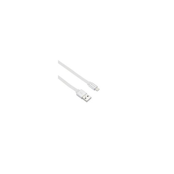 Câble pour iPhone 5 6 7 8 X XS XR 11 12 2 mètres blanc Tekmee