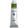 photo-Peinture à l'huile - Extra-fine - Vert de vessie permanent - 568 - Lefranc Bourgeois - 40ml