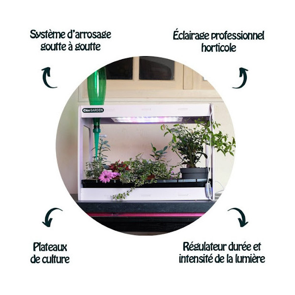 Kit serre horticole jardin d'intérieur CléoGarden