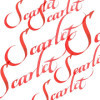 Encre pour calligraphie - Ecarlate - Winsor et Newton - Flacon de 30ml - Beaux-arts
