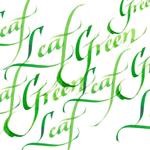 Encre pour calligraphie - Vert clair - Winsor et Newton - Flacon de 30ml - Beaux-arts