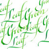 Encre pour calligraphie - Vert clair - Winsor et Newton - Flacon de 30ml - Beaux-arts