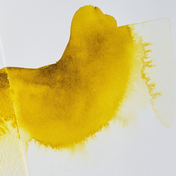 Fiel de bœuf liquide - Peinture aquarelle - Fluidifie la couleur - Winsor et Newton