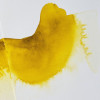 Fiel de bœuf liquide - Peinture aquarelle - Fluidifie la couleur - Winsor et Newton