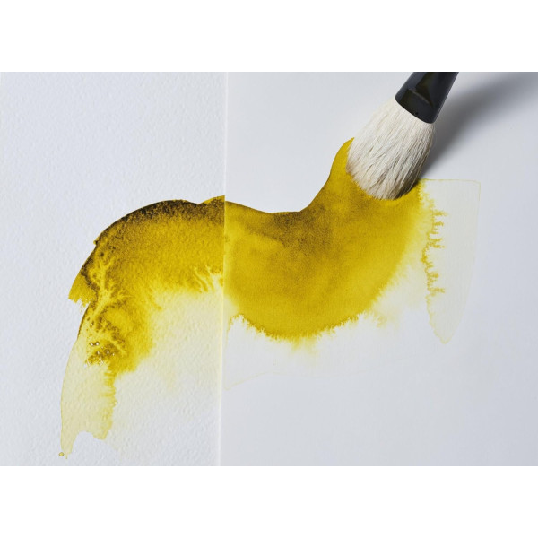 Fiel de bœuf liquide - Peinture aquarelle - Fluidifie la couleur - Winsor et Newton
