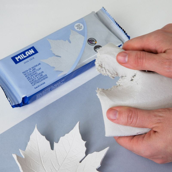 Bloc de pâte à modeler - Blanche - Durcit à l'air - 400g