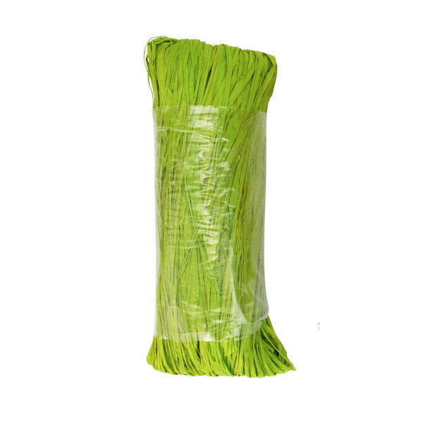 Pelote de raphia - Vert clair - 50g - CTOP