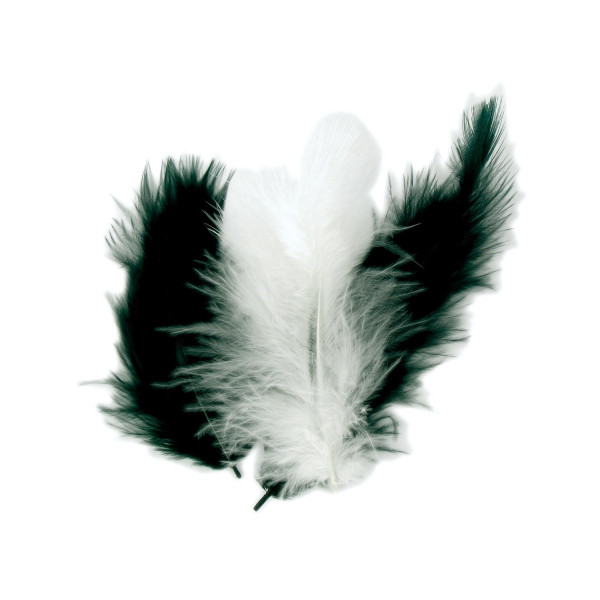 Plumes naturelles - Camaïeu noir et blanc - 10 cm - 50 pièces