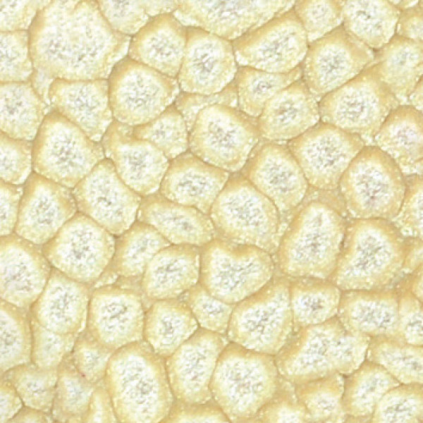 Peinture effet alvéolé - Blanc coquille - Pébéo - Fantasy Prisme - Flacon de 45ml