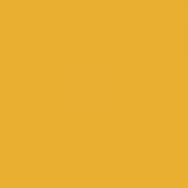 Peinture acrylique - Jaune Sahara - 194 - Fine - Lefranc Bourgeois - Tube 80ml