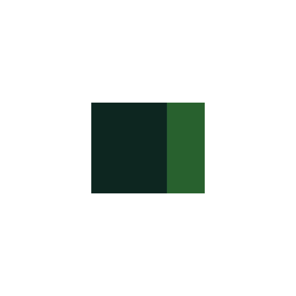Gouache - Extra-fine - Vert de vessie - 552 - Lefranc Bourgeois - Linel - 14ml