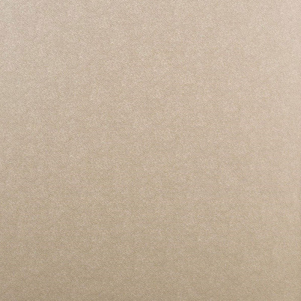 Carnet Croquis A4 - 21 x 29,7 cm - 80 feuilles - 140g - Or blanc - Royal Talens