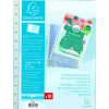 20 pochettes pour protège-documents à anneaux recharge A4 Exacompta