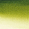 Aquarelle extra-fine - Vert olive - tube 10 ml - Sennelier