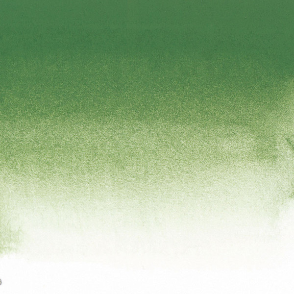 Aquarelle Extra-Fine 1/2 Godet Vert Oxyde Chrome Sennelier