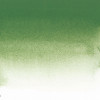 Aquarelle Extra-Fine 1/2 Godet Vert Oxyde Chrome Sennelier