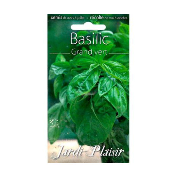 Sachet De Graines Basilic Grand Vert