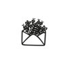 Sceau pour cachet de cire - Enveloppe - Nature - Carterie - Loisirs créatifs - Aladine
