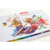 Crayons de couleur - 36 teintes - Mine épaisse - Boîte métal - Bruynzeel
