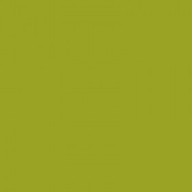 Bombe de peinture MTN 94 - vert psycho