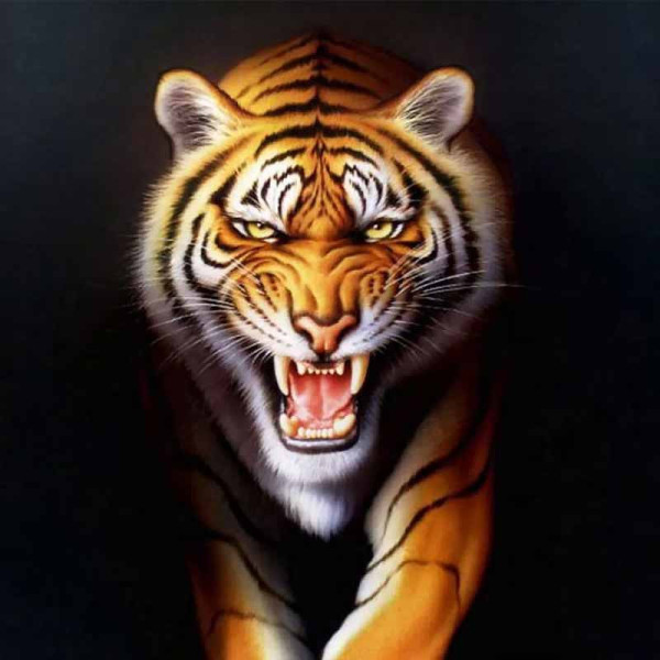 photo - Peinture au numéro - Adulte/Enfant - Modèle tigre - 50x40cm - Toile + peinture + pinceaux