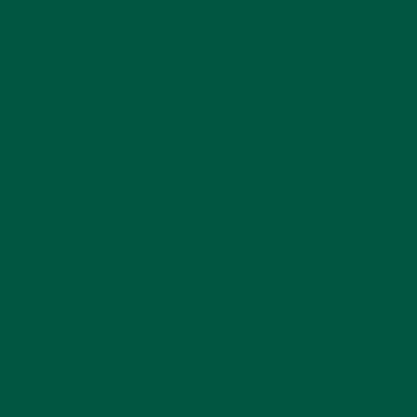 Crayon de couleur vert de Hooker aquarellable Albrecht Dürer Faber-Castell