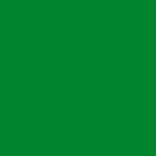 Crayon de couleur vert feuille aquarellable Albrecht Dürer Faber-Castell