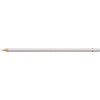 Crayon de couleur gris froid I Polychromos Faber-Castell