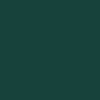 Crayon de couleur vert pin Polychromos Faber-Castell