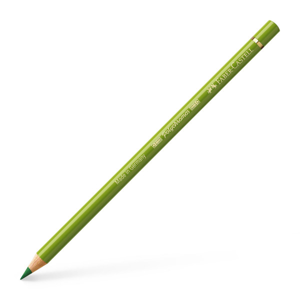 Crayon de couleur Terre verte jaunâtre Polychromos faber-Castell | Artmania