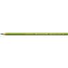 Crayon de couleur Terre verte jaunâtre Polychromos faber-Castell