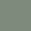 Crayon de couleur terre verte Polychromos Faber-Castell