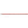 Crayon de couleur cannelle Polychromos Faber-Castell