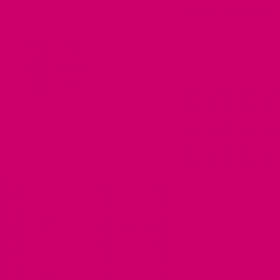 Epson T0713 Magenta cartouche d'encre modèle guépard