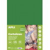 photo-Carton de couleur vert foncé A4 170 g 50 feuilles - Apli